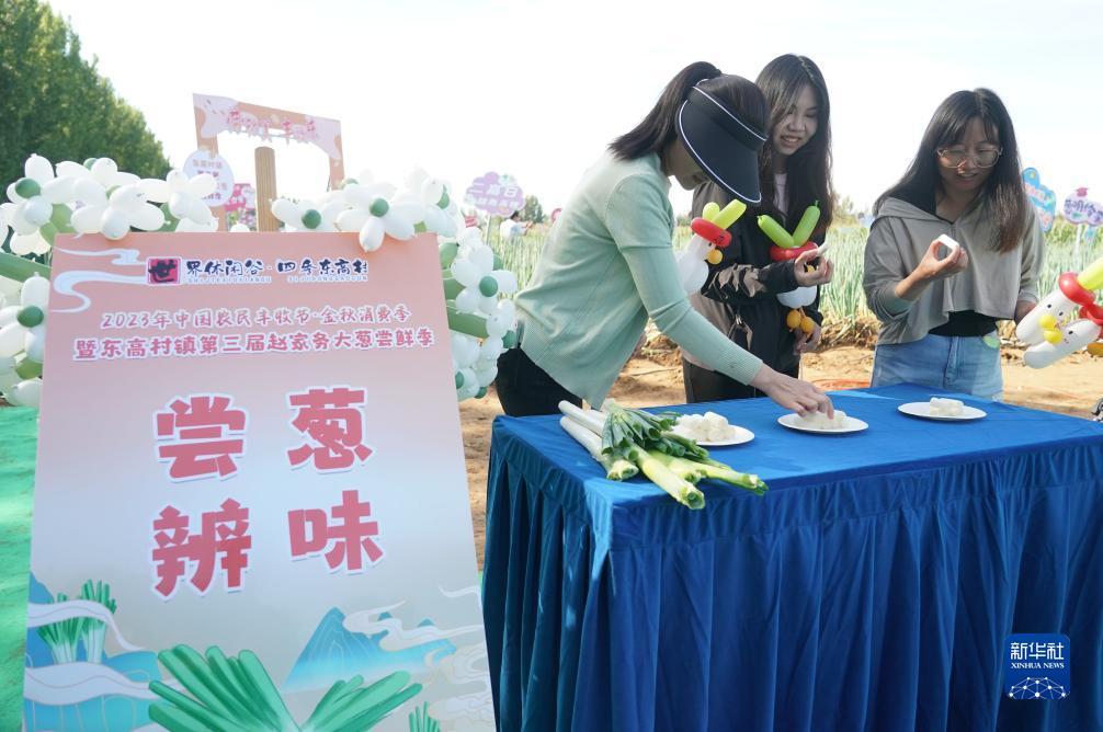 银河网站登录1331